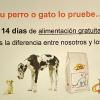 Samilaes S.l  Pets Planet
