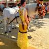 Traje “Feria de Sevilla”