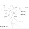 Multiservicios Rio Grande