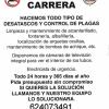 Multiservicios Rio Grande