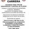 Multiservicios Carrera