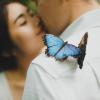 Amor y mariposas