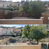 Creación de jardín nuevo con ocultación en mimbre natural, piedra volcánica y plantas con tolerancia al sol. 