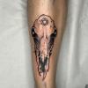 Tatuador En Sailor Jack Tattoo