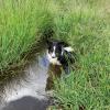 A Cata le gusta refrescarse