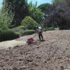 Ecojardines Iris Sl