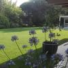 Ecojardines Iris Sl