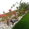 Brunnus Jardinería