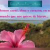 Psicóloga Sanitaria Y Picogerontóloga