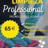 Limpieza Profesional