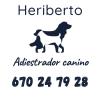 Contacto con Heriberto Adiestrador