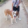 Paseos Mischka