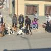 Ruta de Socialización Canina