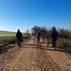 Ruta de Socialización con la protectora PPPeludos en el mes de Octubr.