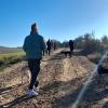 Ruta de Socialización Caninas