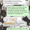 Jm Reformas Decoración E Interiorismo