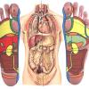 Qi Balance Reflexología Podal