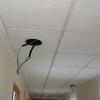 Cambio luces dowline por led