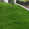 Servicios De Jardinería Y Limpieza