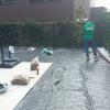 Jardinería Green
