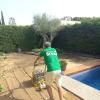 Jardinería Green
