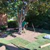 Jardinería Green