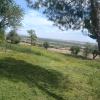 Desbroces Gh