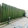 Jardinlandia