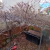 Jardinlandia