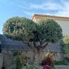 Jardinlandia