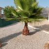 Jardinlandia