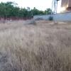 Jardinlandia