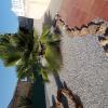 Jardinlandia