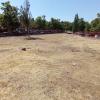 Jardinlandia