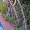 Jardín Y Mantenimiento Adrián