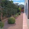 Jardín Y Mantenimiento Adrián
