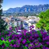 Jardineria Altea Hogar