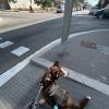 En su paseo