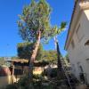 Servicios De Jardinería Jdcl