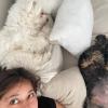 Cuidadora De Mascotas