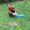 Costa Rica. Iguana