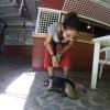Centro e recuperación animal