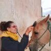 Terapia 🐴. Pie a tierra