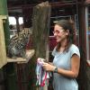 Margay. Enriquecimiento ambiental