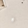 Microcemento blanco suelo baño