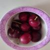 Dietética Y Nutrición