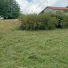 Antes