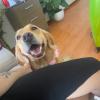 Luisa