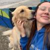 Ju Pet Sitter
