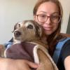 Ju Pet Sitter